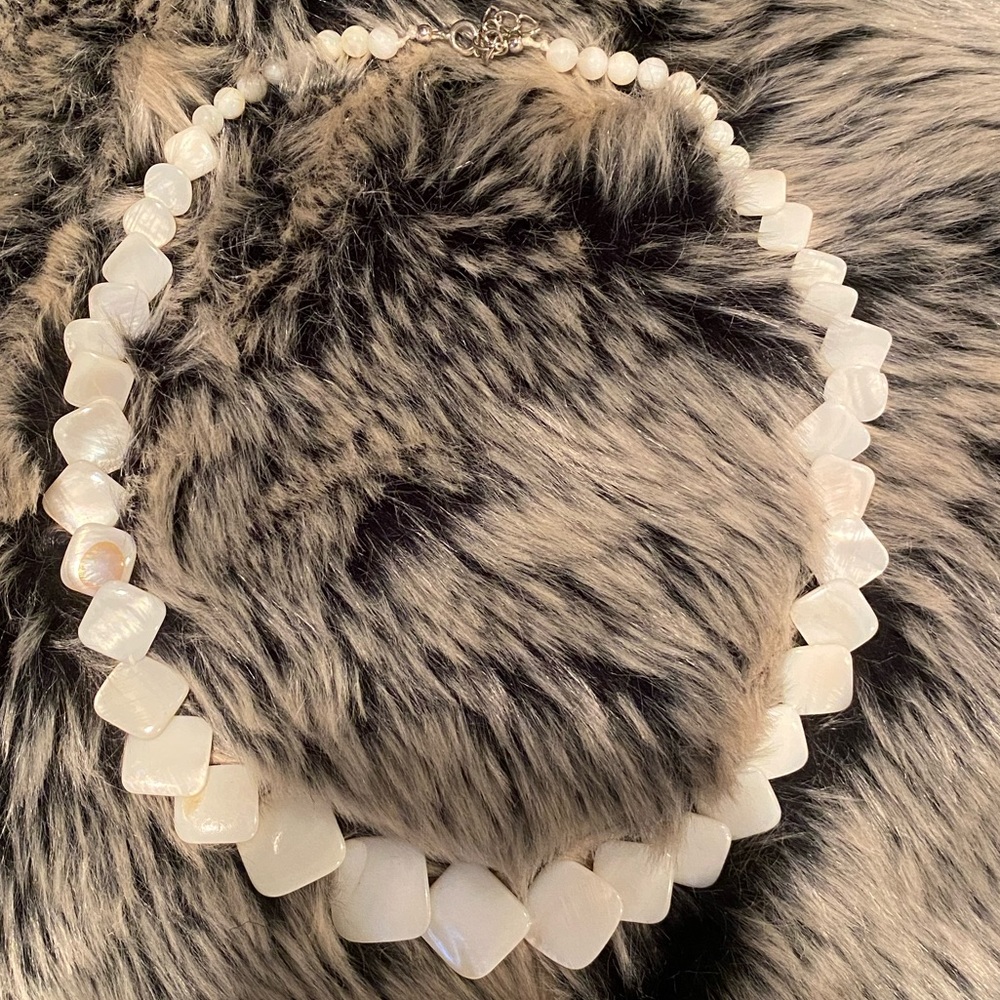 Real Seashell Necklace
